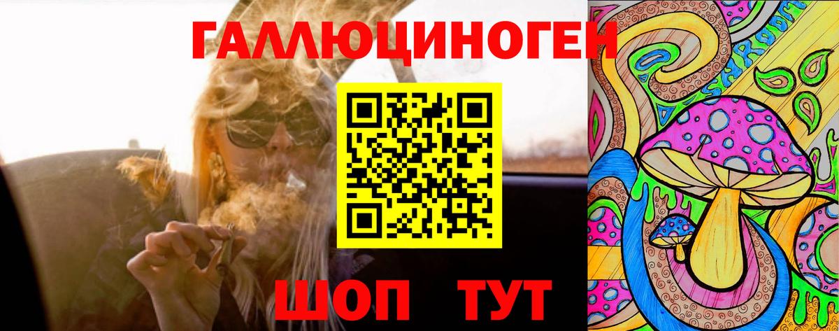 Всеволожск  Галлюциногенные грибы Psilocybe  Вход с VPN 